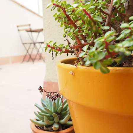 La Rambla - Esperó De Bolós - 4 Pers Apartamento Cornudella de Montsant